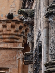 IMG_5865